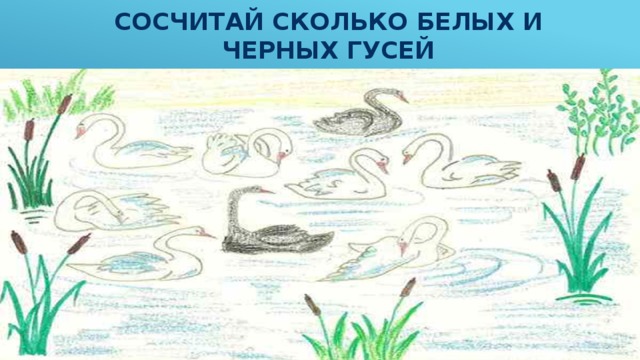 Сосчитай сколько белых и черных гусей 