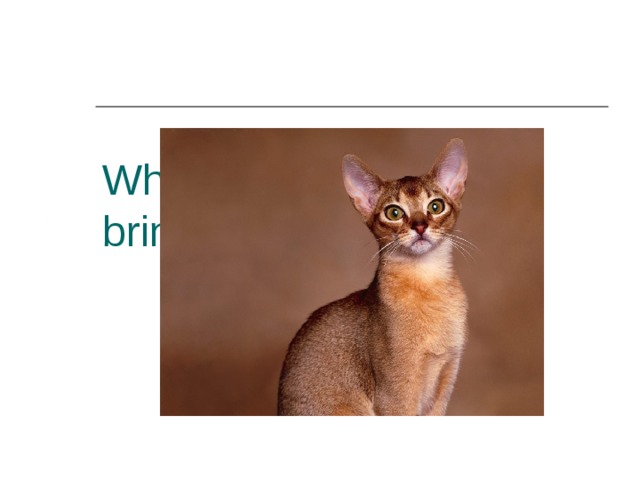   What you don’t need to bring along with you ? 