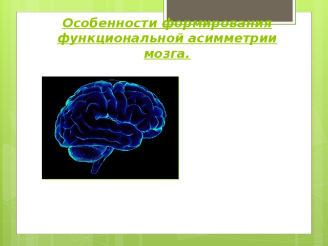 Особенности формирования функциональной асимметрии мозга. Электрофизиологические исследования свидетельствуют о том, что у заикающихся нарушается ведущая роль левого полушария в организации устной речи. Ослабление гармонического взаимодействия между симметричными структурами мозга у заикающихся делает такую ЦНС особо ранимой, что, в первую очередь, отражается на их речевой функции. 