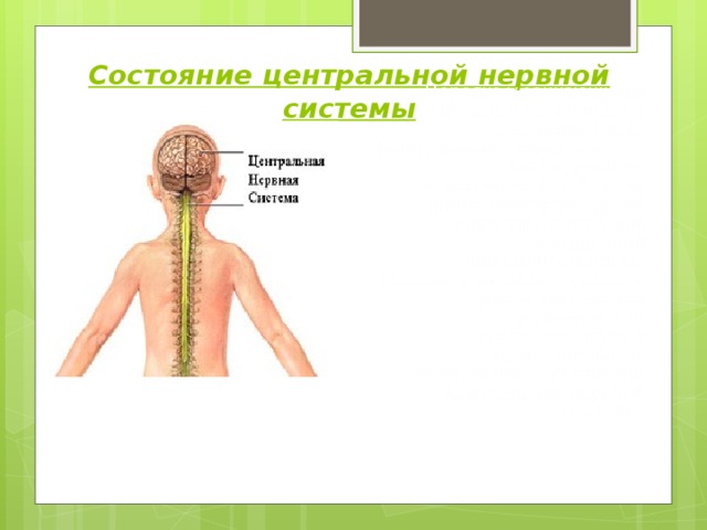Состояние центральной нервной системы Нередко у заикающихся отмечается органическое поражение мозга резидуального характера, а у части детей не обнаруживается. В то же время поведение детей характеризуется, как повышенная впечатлительность, тревожность, низкий уровень адаптации к новым условиям, что свидетельствует о функциональных отклонениях в состоянии центральной нервной системы. 
