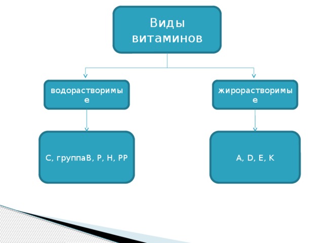 Виды витаминов водорастворимые жирорастворимые C, группаB, P, H, PP A, D, E, K 