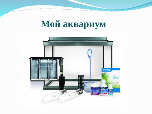 Мой аквариум 