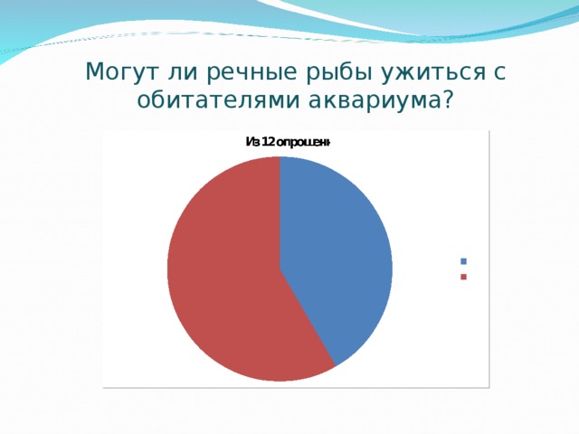 Могут ли речные рыбы ужиться с обитателями аквариума? 