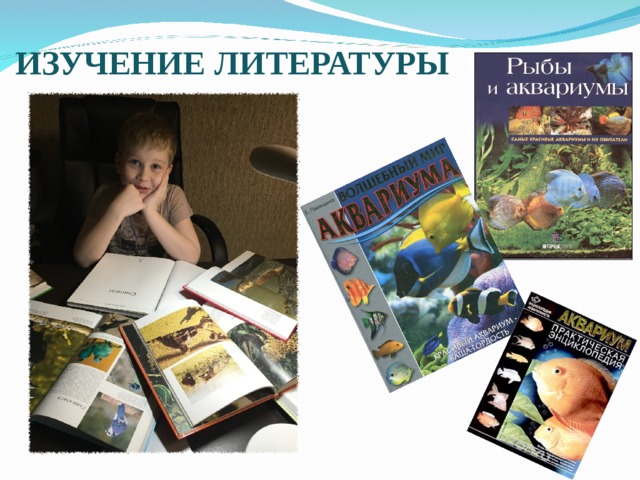 ИЗУЧЕНИЕ ЛИТЕРАТУРЫ О 