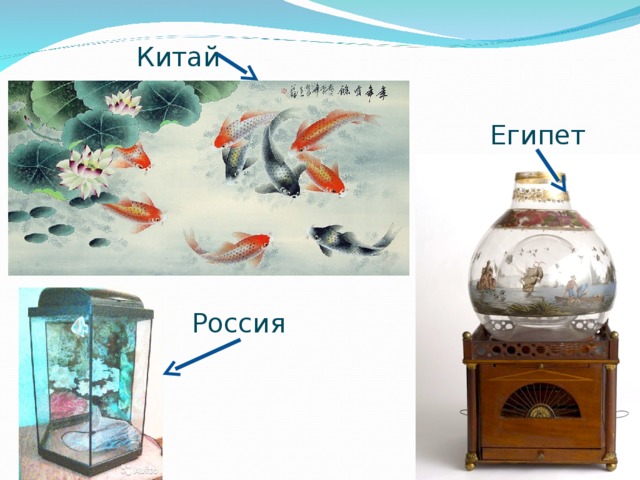 Китай Египет Россия 