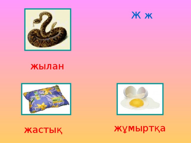 Ж ж жылан жұмыртқа жастық 
