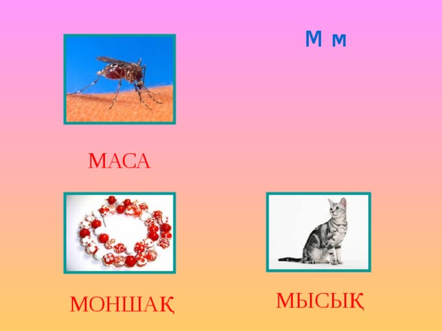 М м МАСА МЫСЫҚ МОНШАҚ 