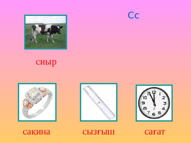 Сс сиыр сақина сызғыш сағат 
