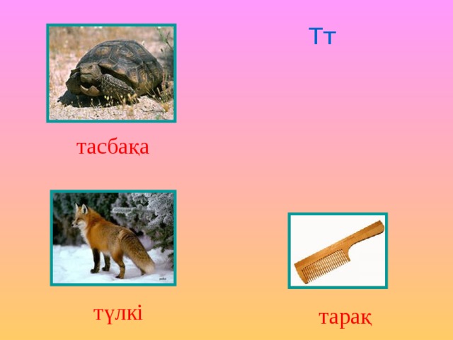 Тт тасбақа түлкі тарақ 