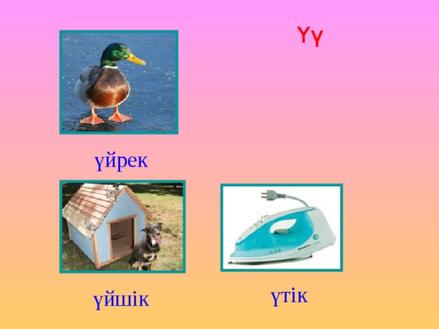 Үү үйрек үтік үйшік 