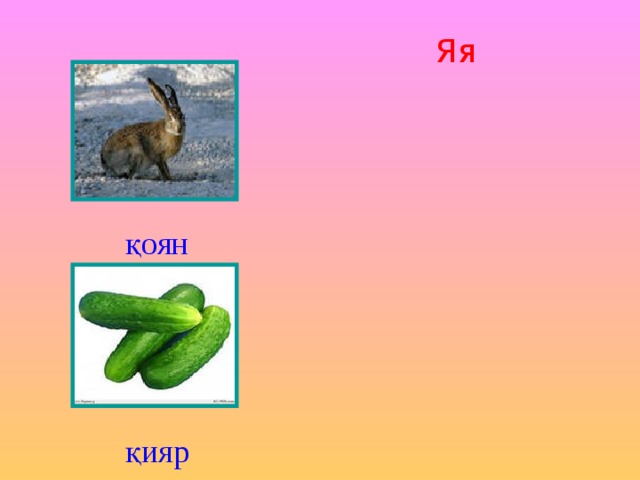 Яя қоян қияр 