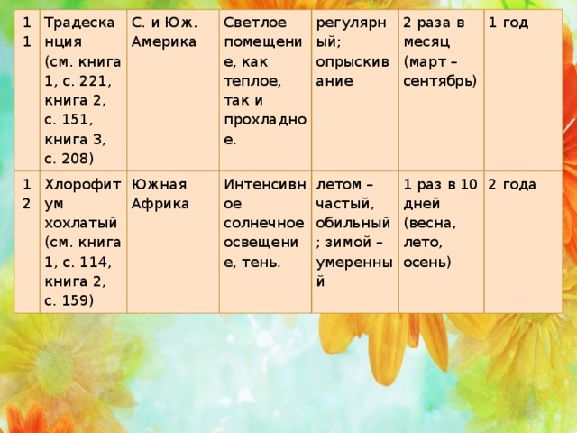 11 Традесканция 12 С. и Юж. Америка (см. книга 1, с. 221, книга 2, с. 151, книга 3, с. 208) Хлорофитум хохлатый Светлое помещение, как теплое, так и прохладное. Южная Африка (см. книга 1, с. 114, книга 2, с. 159) регулярный; опрыскивание Интенсивное солнечное освещение, тень. 2 раза в месяц (март – сентябрь) летом – частый, обильный; зимой –   умеренный 1 год 1 раз в 10 дней (весна, лето, осень) 2 года   Если в жизни их можно встретить .   