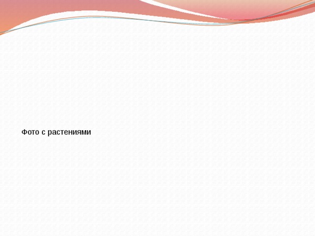    Фото с растениями 
