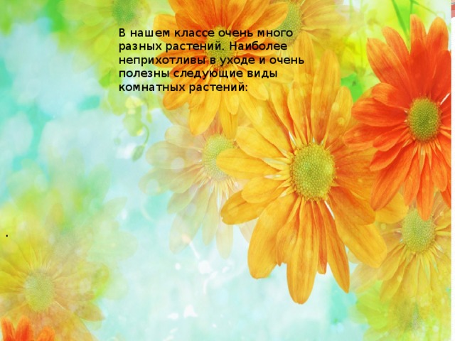 В нашем классе очень много разных растений. Наиболее неприхотливы в уходе и очень полезны следующие виды комнатных растений:    встретить .   . 