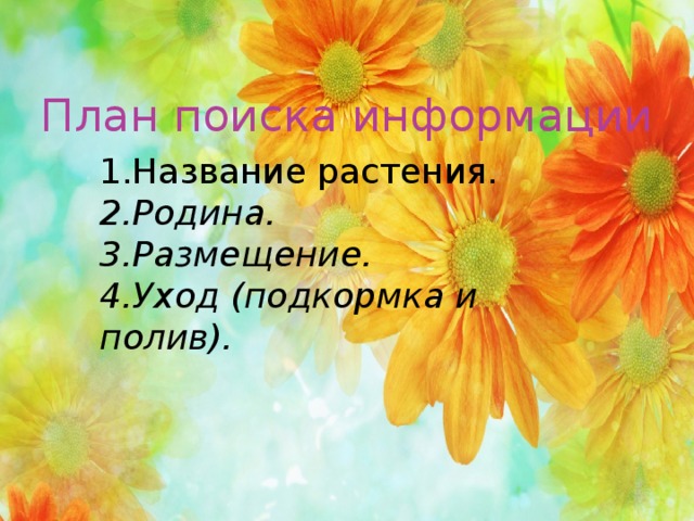 План поиска информации 1.Название растения. 2.Родина. 3.Размещение. 4.Уход (подкормка и полив). 