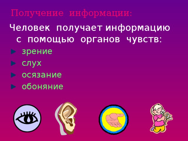 Получение информации:   Человек получает информацию с помощью органов чувств:  зрение  слух  осязание  обоняние  