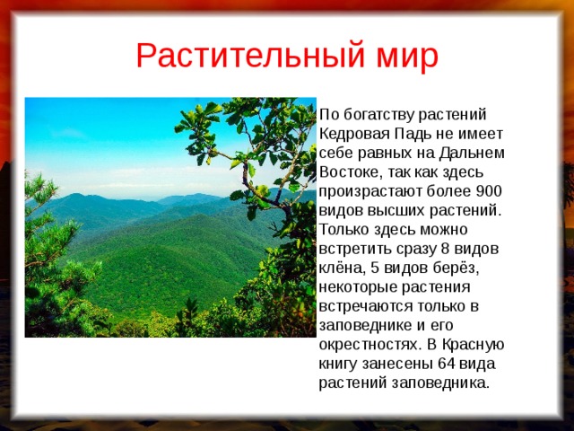Презентация "По страницам Красной книги Хабаровского края"