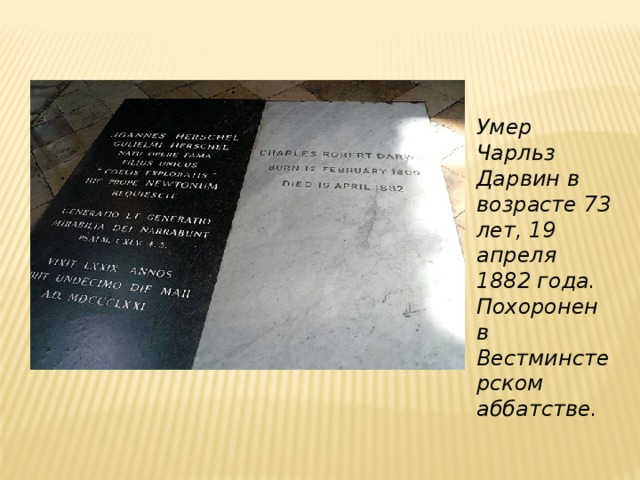 Умер Чарльз Дарвин в возрасте 73 лет, 19 апреля 1882 года. Похоронен в Вестминстерском аббатстве. 