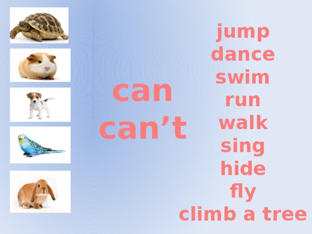 jump dance swim run walk sing hide fly climb a tree can can’t