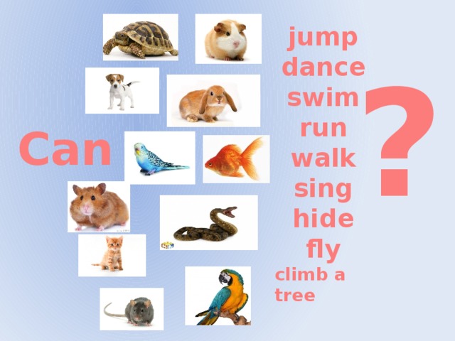 jump dance swim run walk sing hide fly climb a tree ? Can