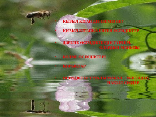 ҚЫЗЫЛ КІТАП ДЕГЕНІМІЗ НЕ?  ҚЫЗЫЛ КІТАПҚА ЕНГЕН ӨСІМДІКТЕР   ДӘРІЛІК ӨСІМДІКТЕРДІҢ ТҮРЛЕРІ,  ОЛАРДЫҢ МАҢЫЗЫ  БӨЛМЕ ӨСІМДІКТЕРІ  ҚОРЫҚТАР   ӨСІМДІКТЕР ТУРАЛЫ МАҚАЛ – МӘТЕЛДЕР,  НАҚЫЛ СӨЗДЕР 