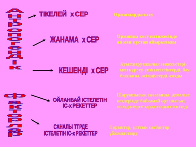Ормандарды кесу Орманды кесу нәтижесінде аң мен құстан айырылады Ауылшаруашылық зиянкестері- мен күресу үшін егістіктерді, бау- бақшаны, өсімдіктерді жояды Шаруашылық саласында, демалыс кездерінде байқамай өрт шығып, өсімдіктерге зардаптарын тигізеді Қорықтар, ұлттық саябақтар ұйымдастыру 