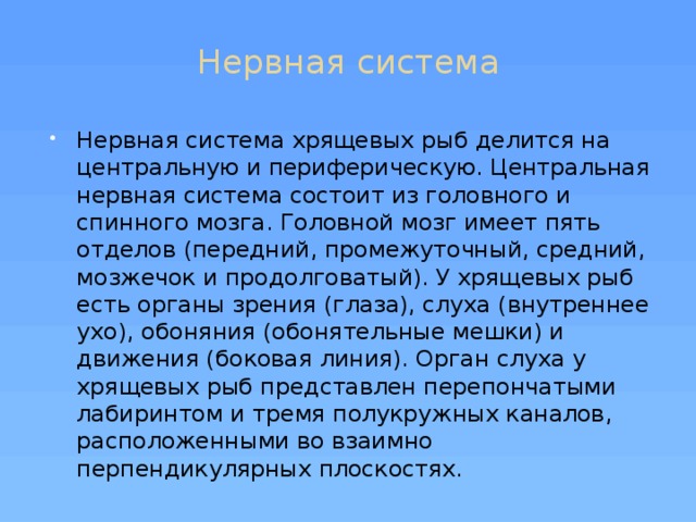 Нервная система   Нервная система хрящевых рыб делится на центральную и периферическую. Центральная нервная система состоит из головного и спинного мозга. Головной мозг имеет пять отделов (передний, промежуточный, средний, мозжечок и продолговатый). У хрящевых рыб есть органы зрения (глаза), слуха (внутреннее ухо), обоняния (обонятельные мешки) и движения (боковая линия). Орган слуха у хрящевых рыб представлен перепончатыми лабиринтом и тремя полукружных каналов, расположенными во взаимно перпендикулярных плоскостях. 
