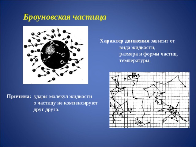 Броуновская  частица Характер движения зависит от  вида жидкости,   размера и формы частиц,  температуры. Причина: удары молекул жидкости  о частицу не компенсируют друг друга. 