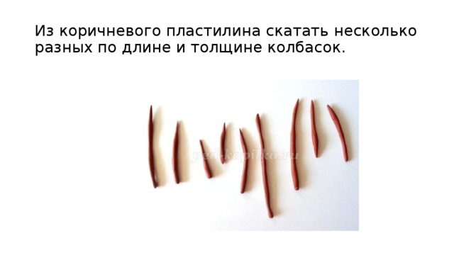 Из коричневого пластилина скатать несколько разных по длине и толщине колбасок. 
