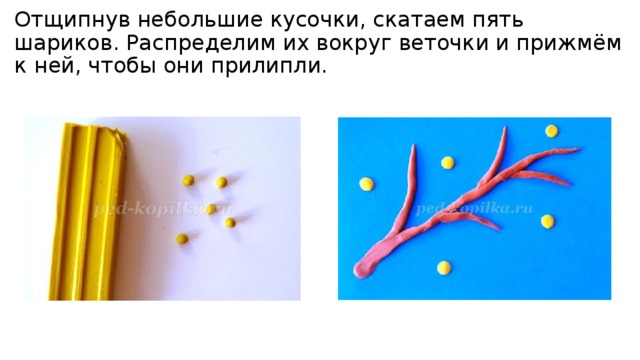 Отщипнув небольшие кусочки, скатаем пять шариков. Распределим их вокруг веточки и прижмём к ней, чтобы они прилипли. 
