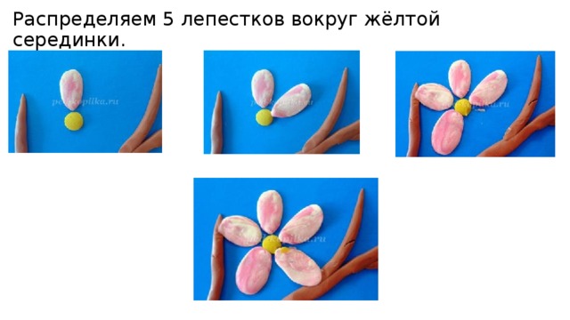 Распределяем 5 лепестков вокруг жёлтой серединки. 