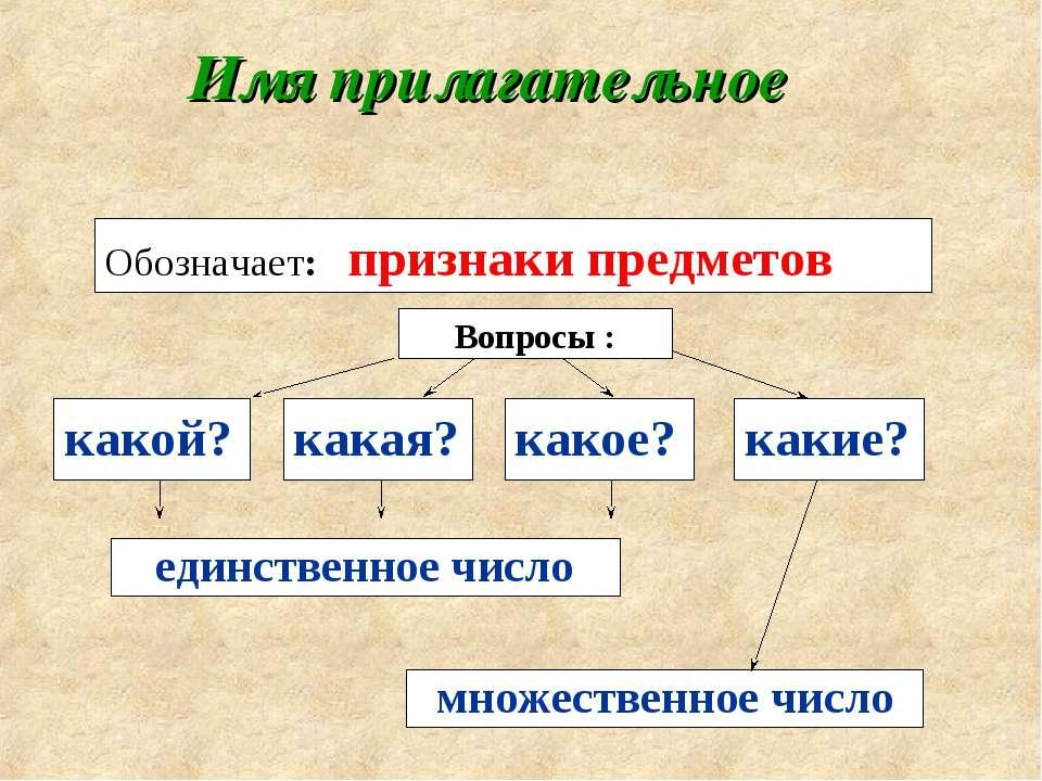 Имя прилагательное картинки правило