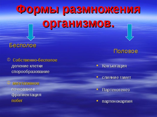 Формы размножения организмов.  Бесполое Собственно-бесполое  деление клетки  спорообразование вегетативное  почкование  фрагментация  побег Половое Конъюгация слияние гамет  Партеногенез партенокарпия   