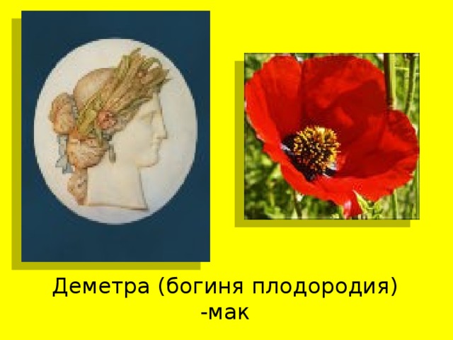 Деметра (богиня плодородия) -мак 