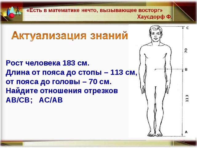 Рост человека длина. Человек с ростом 183. Рост обычного человека. Длина человека. Рост человека до пояса.