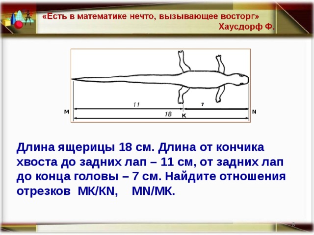 М N К Длина ящерицы 18 см. Длина от кончика хвоста до задних лап – 11 см, от задних лап до конца головы – 7 см. Найдите отношения отрезков МК/К N , М N /МК. 7 