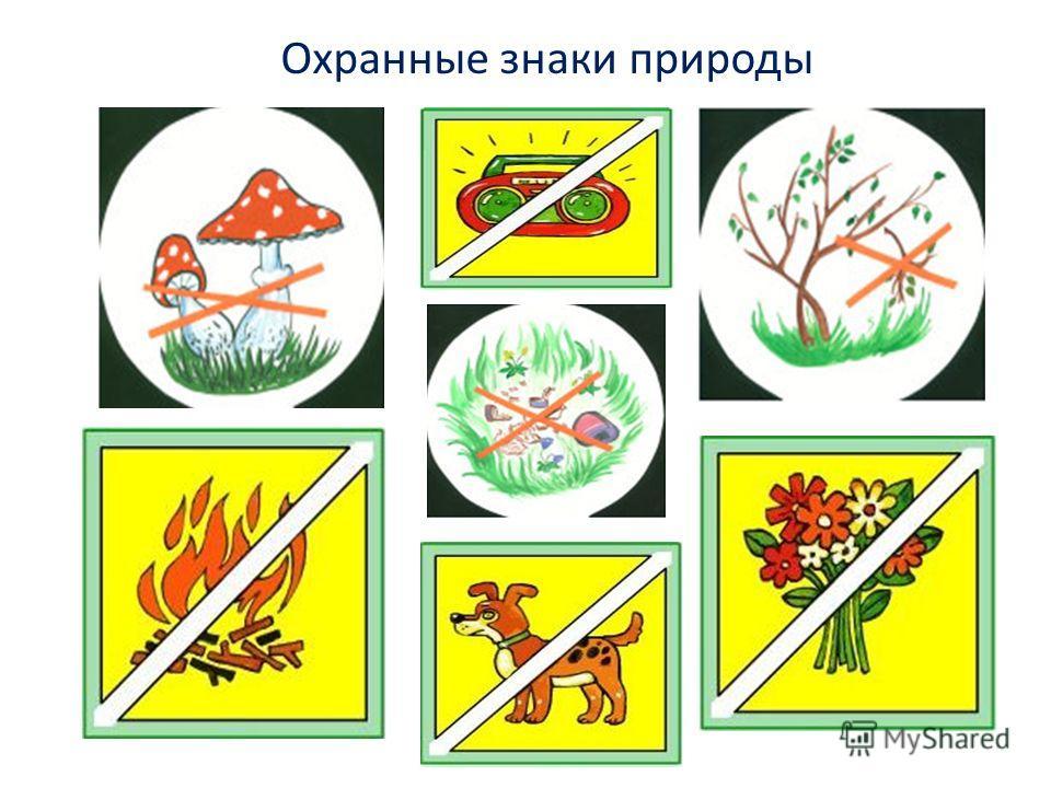 Условные знаки по окружающему миру 3 класс рисунки