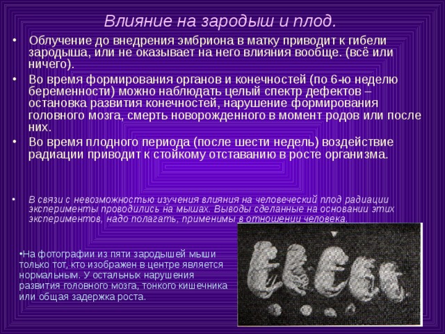 На фотографии из пяти зародышей мыши только тот, кто изображен в центре является нормальным. У остальных нарушения развития головного мозга, тонкого кишечника или общая задержка роста. Влияние на зародыш и плод. Облучение до внедрения эмбриона в матку приводит к гибели зародыша, или не оказывает на него влияния вообще. (всё или ничего). Во время формирования органов и конечностей (по 6-ю неделю беременности) можно наблюдать целый спектр дефектов – остановка развития конечностей, нарушение формирования головного мозга, смерть новорожденного в момент родов или после них. Во время плодного периода (после шести недель) воздействие радиации приводит к стойкому отставанию в росте организма.  В связи с невозможностью изучения влияния на человеческий плод радиации эксперименты проводились на мышах. Выводы сделанные на основании этих экспериментов, надо полагать, применимы в отношении человека. 