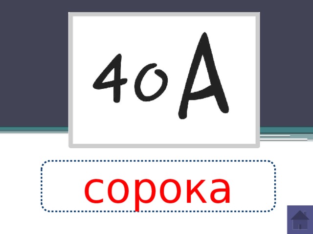 сорока 