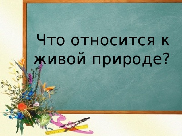  Что относится к живой природе?    