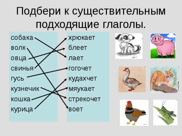 Подбери к существительным подходящие глаголы. хрюкает блеет лает гогочет кудахчет мяукает стрекочет воет собака волк овца свинья гусь кузнечик кошка курица 