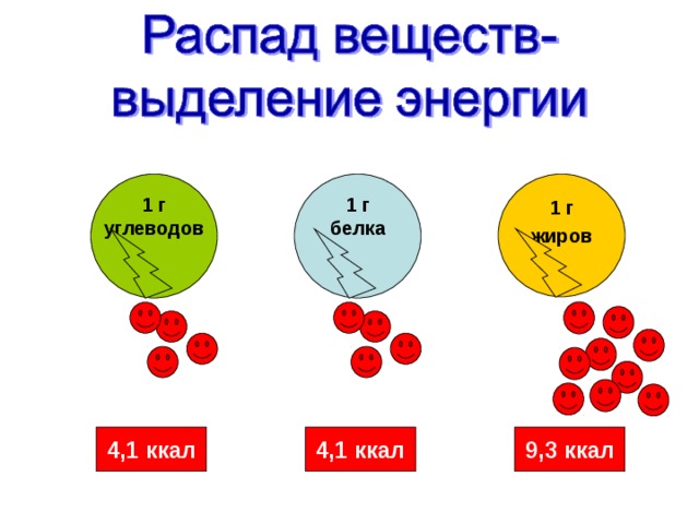 Углевод сколько выделяется энергии