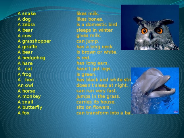 likes milk.  likes bones.  is a domestic bird.  sleeps in winter.  gives milk.  can jump.  has a long neck.  is brown or white.  is red.  has long ears.  hasn’t got legs.  is green.  has black and white stripes.  doesn’t sleep at night.  can run very fast.  jumps in the grass.  carries its house.  sits on flowers.  can transform into a ball   A snake    A dog  A zebra  A bear  A cow   A grasshopper  A giraffe   A bear   A hedgehog    A hare   A   cat  A frog   A   hen  An owl   A horse   A monkey  A snail   A butterfly   A fox               