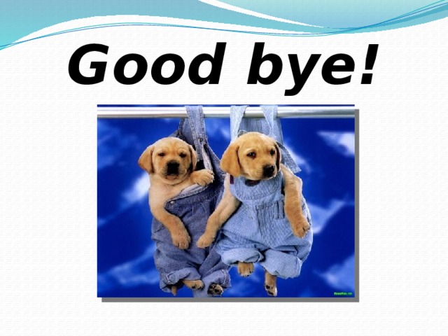 Good bye! 