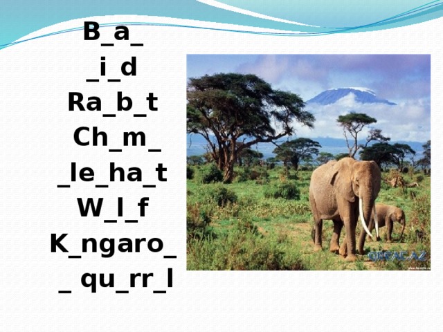 B_a_ _i_d Ra_b_t Ch_m_ _le_ha_t W_l_f K_ngaro_ _ qu_rr_l  