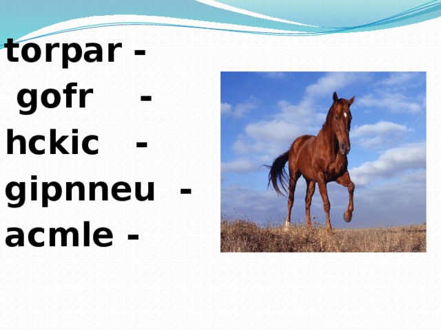 torpar -  gofr - hckic - gipnneu - acmle - 