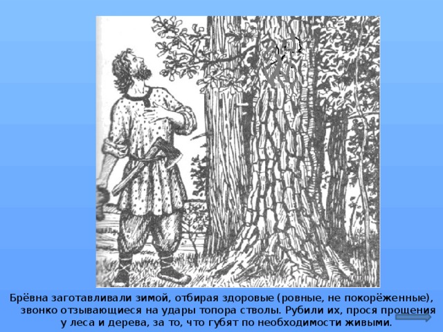 При хранении бревен строевого леса. Срубить дерево попросив прощения. Ваня рубит топором ствол дерева. Не рубили мы стволы. Лесное Эхо не умолкая повторяет удары топора.