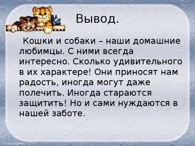 Вывод кошка. Вывод о кошках. Заключение про кошек. Выводы о кошках и собаках.