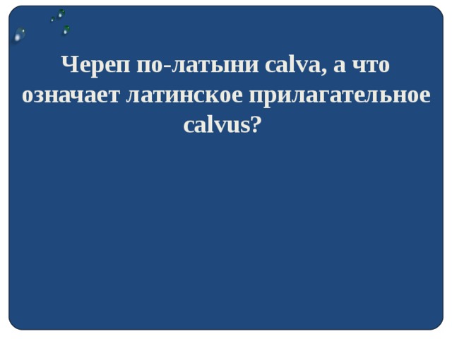 Череп по-латыни calva, а что означает латинское прилагательное calvus?