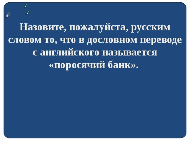 Назовите, пожалуйста, русским словом то, что в дословном переводе с английского называется «поросячий банк».